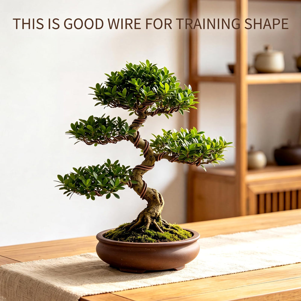 Mudder Bonsai Training Wire 4mm brown roll on a table