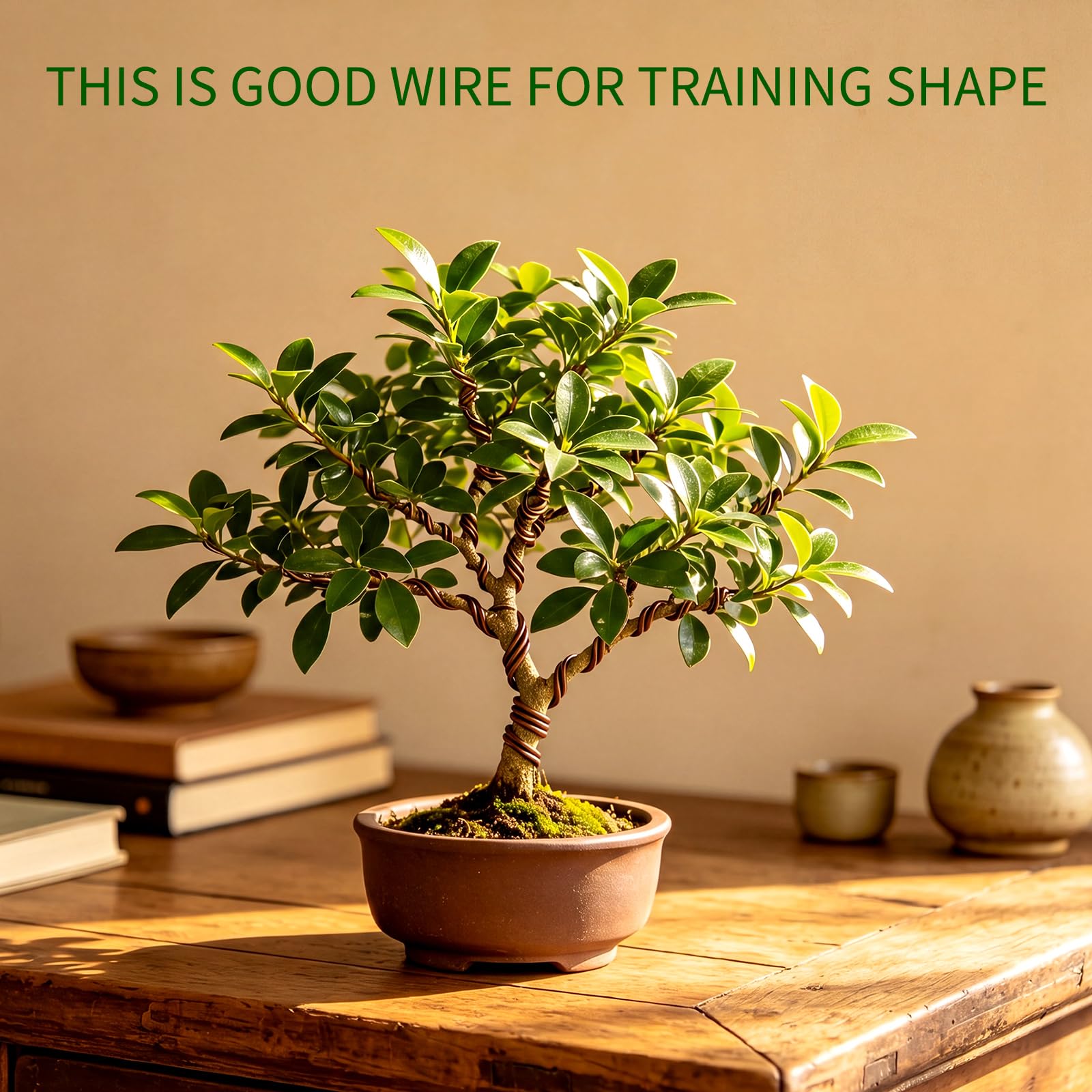 Mudder Bonsai Training Wire on a bonsai tree