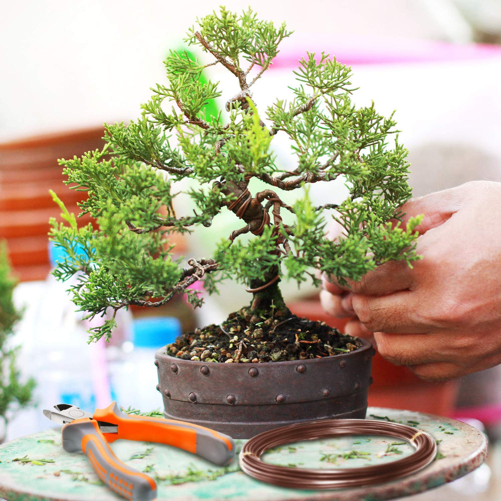 Mudder bonsai training wire rolls in packaging