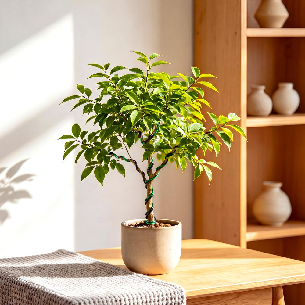 Mudder bonsai wire cutter for shaping branches