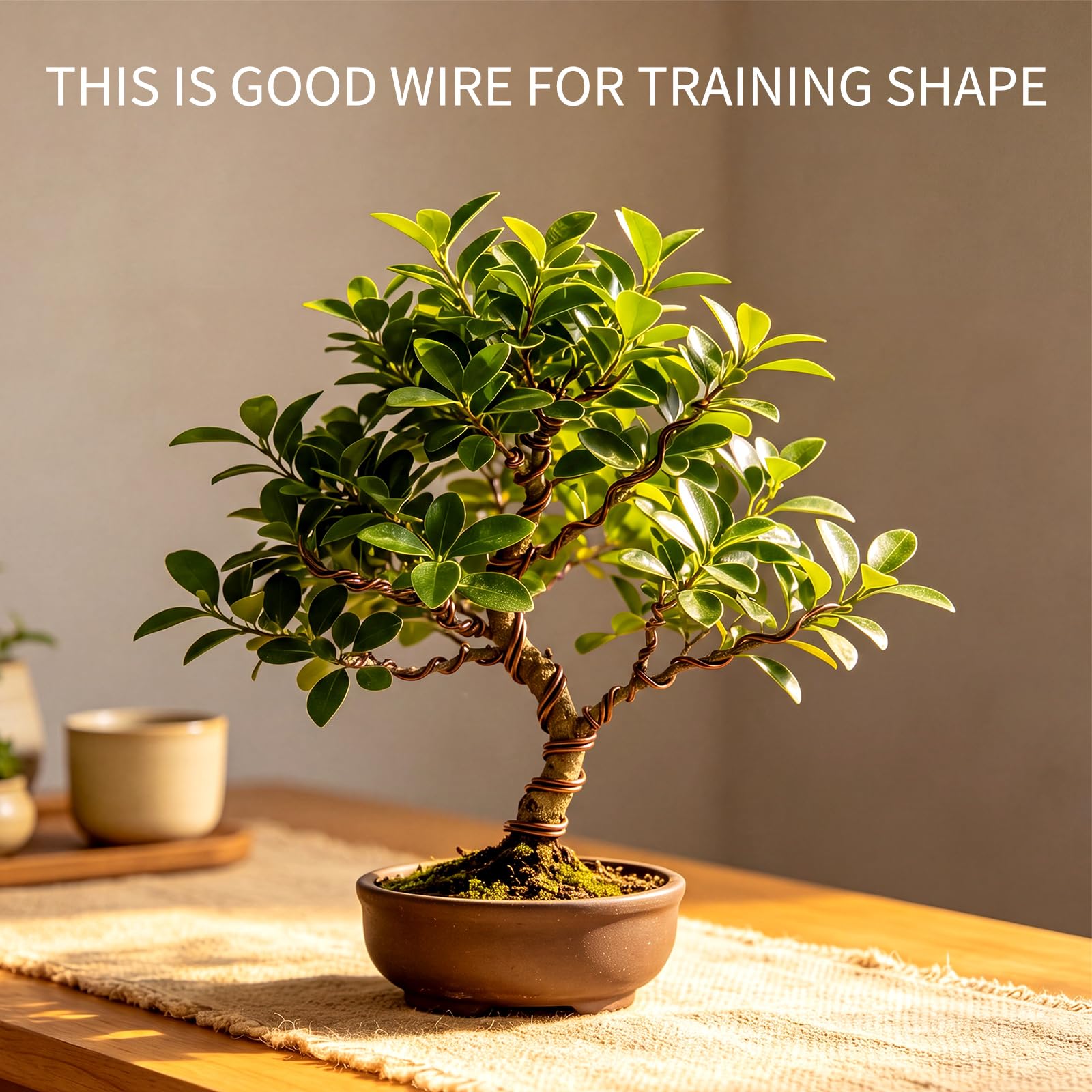 Mudder bonsai wire in garden setting
