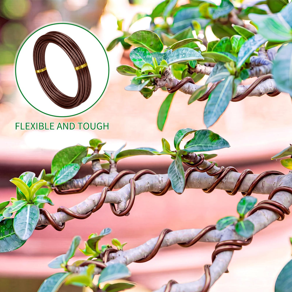 Mudder Bonsai wire in use on a bonsai tree