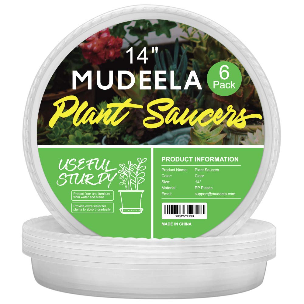 MUDEELA 6-Pack Clear Plant Saucers front view