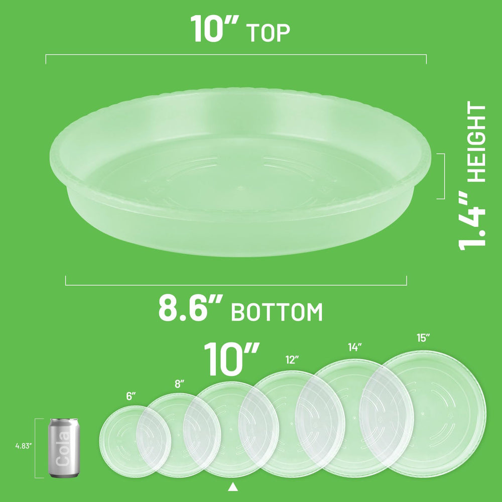 MUDEELA Clear Plant Saucer 10 Inch side view
