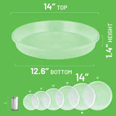 MUDEELA Clear Plant Saucer side view with dimensions