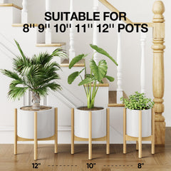 MUDEELA Plant Stand with Potted Plant Display