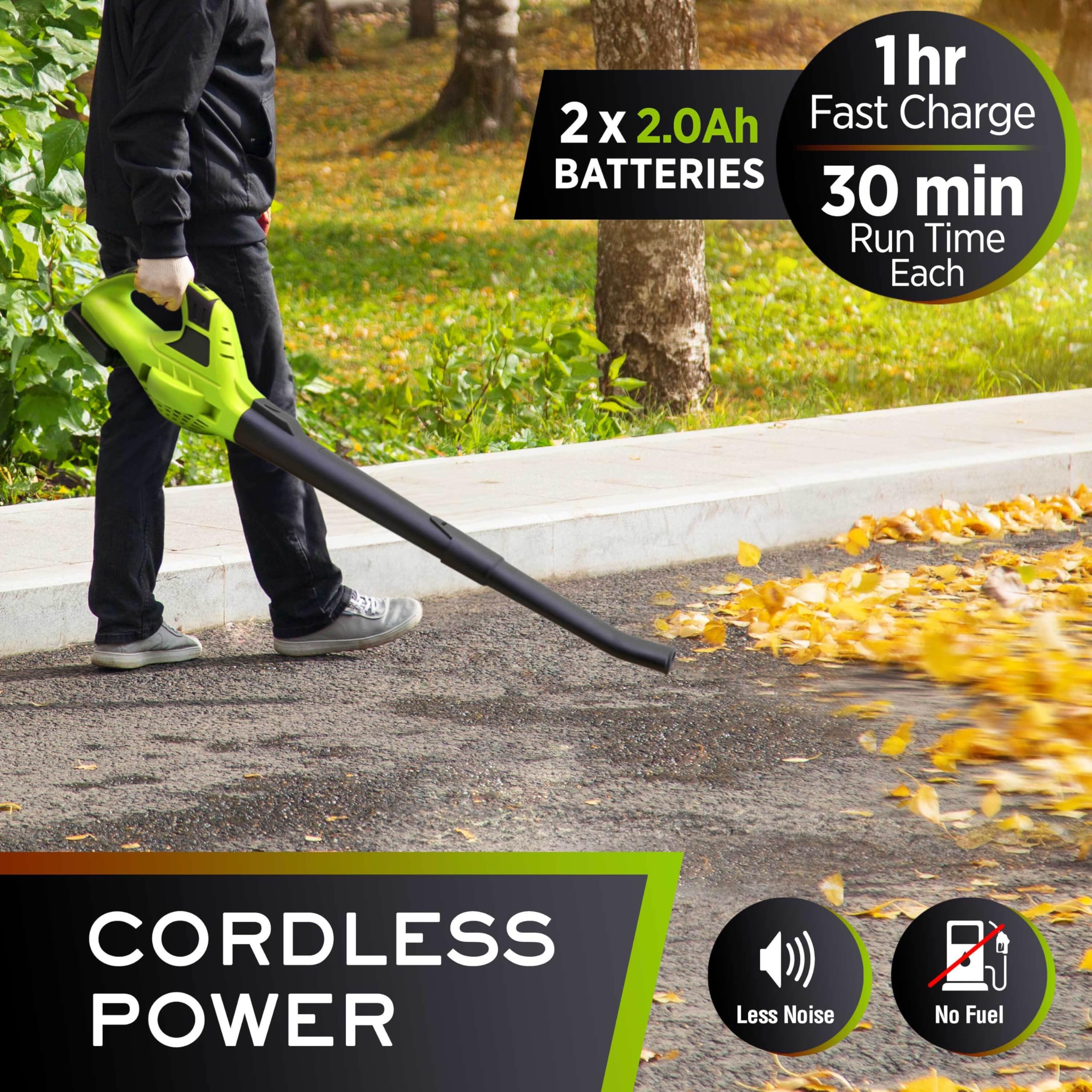 MUELLER HOME UltraStorm Leaf Blower with charger included