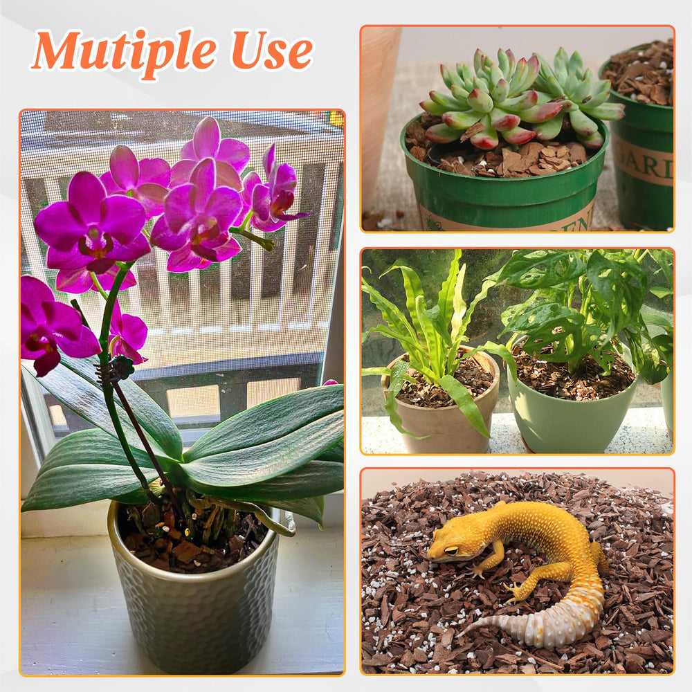 Mulctun 3QT Orchid Bark Potting Mix beside potted orchids
