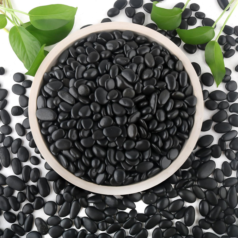 Mulctun 6LB polished black stones in a natural setting