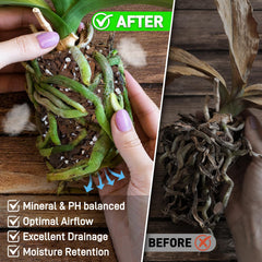 Mulctun Orchid Bark Potting Mix texture close-up