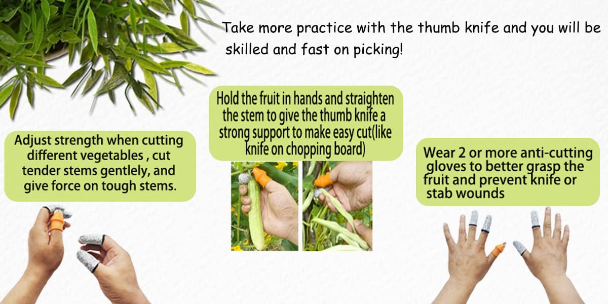 Mulenn Garden Silicone Thumb Knife Set arranged for display