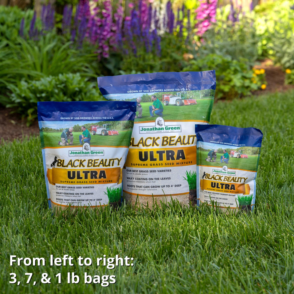 Multi-colour grass seed mix from Jonathan Green
