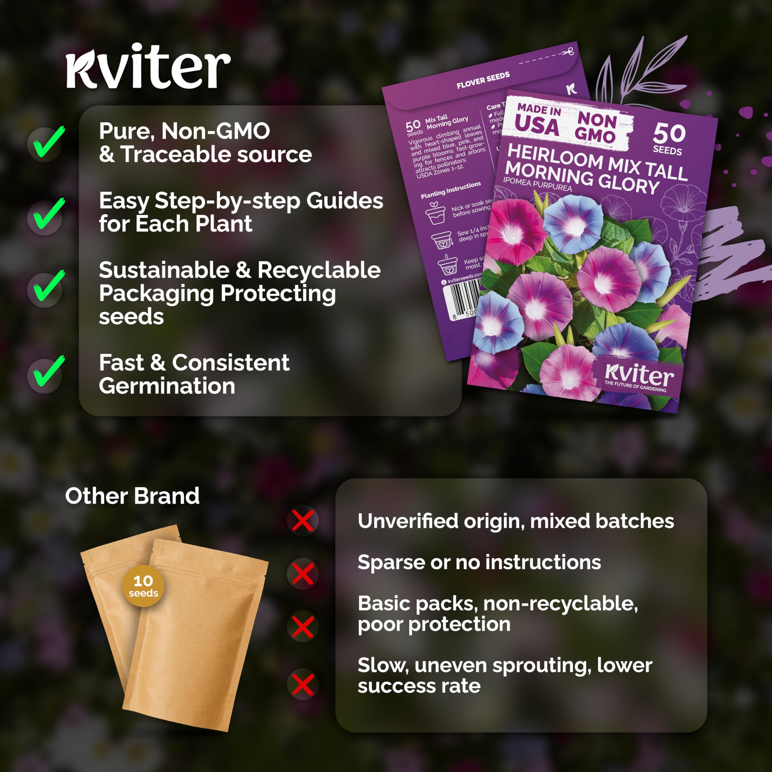 Multi-colour KVITER Morning Glory flowers in full bloom