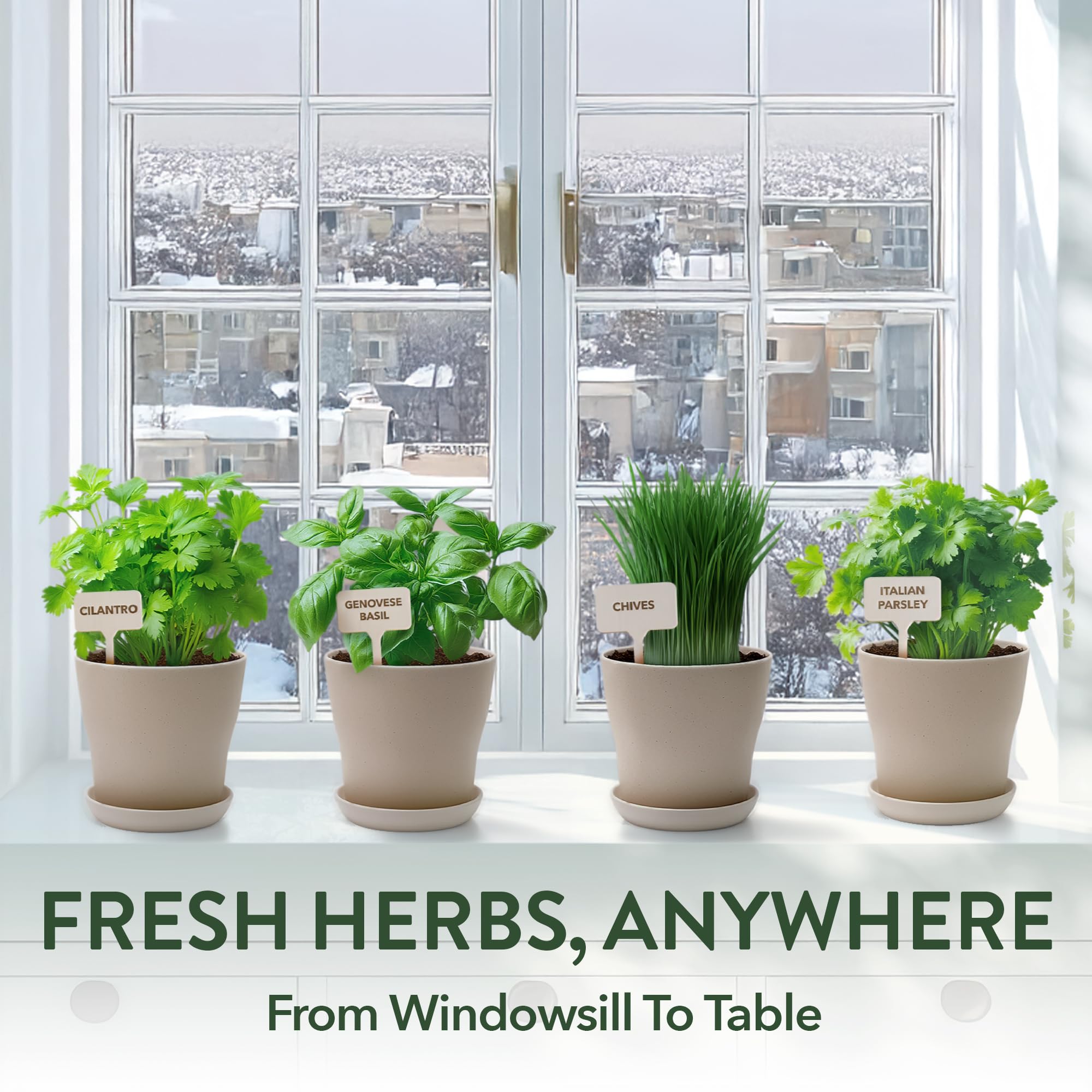 Multi-colour pots included in the herb starter kit