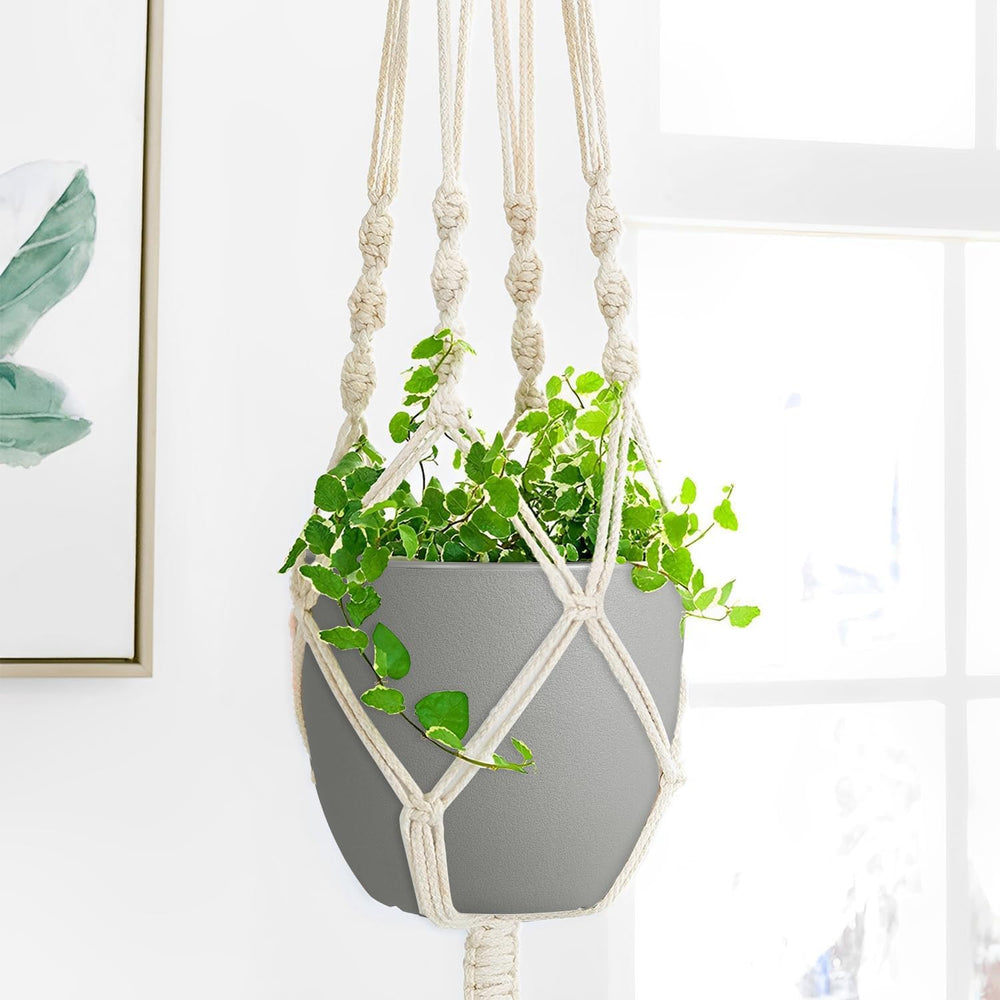 Multicolor Ferlypote plant pots arranged together