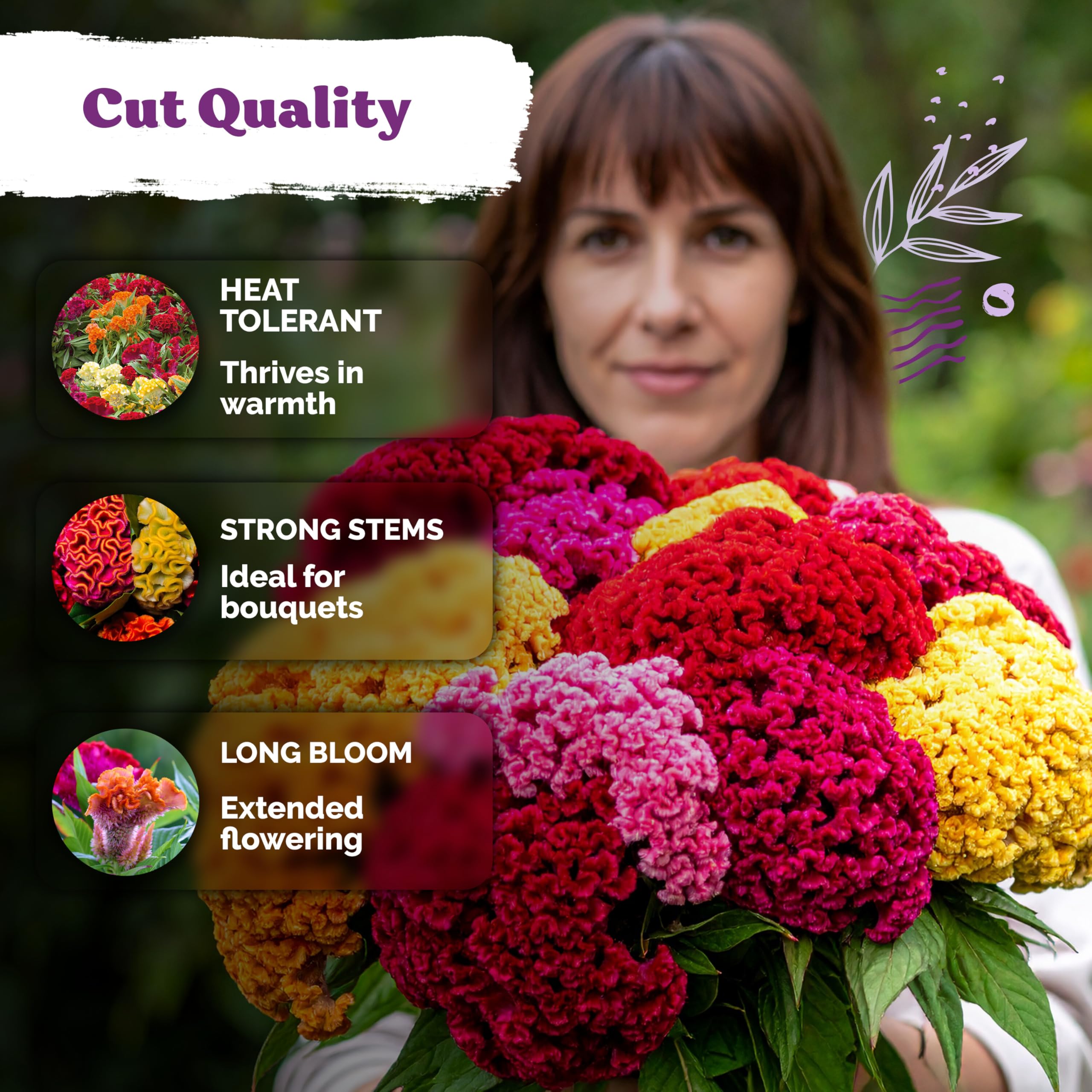 Multicolour Cockscomb blooms in a bouquet
