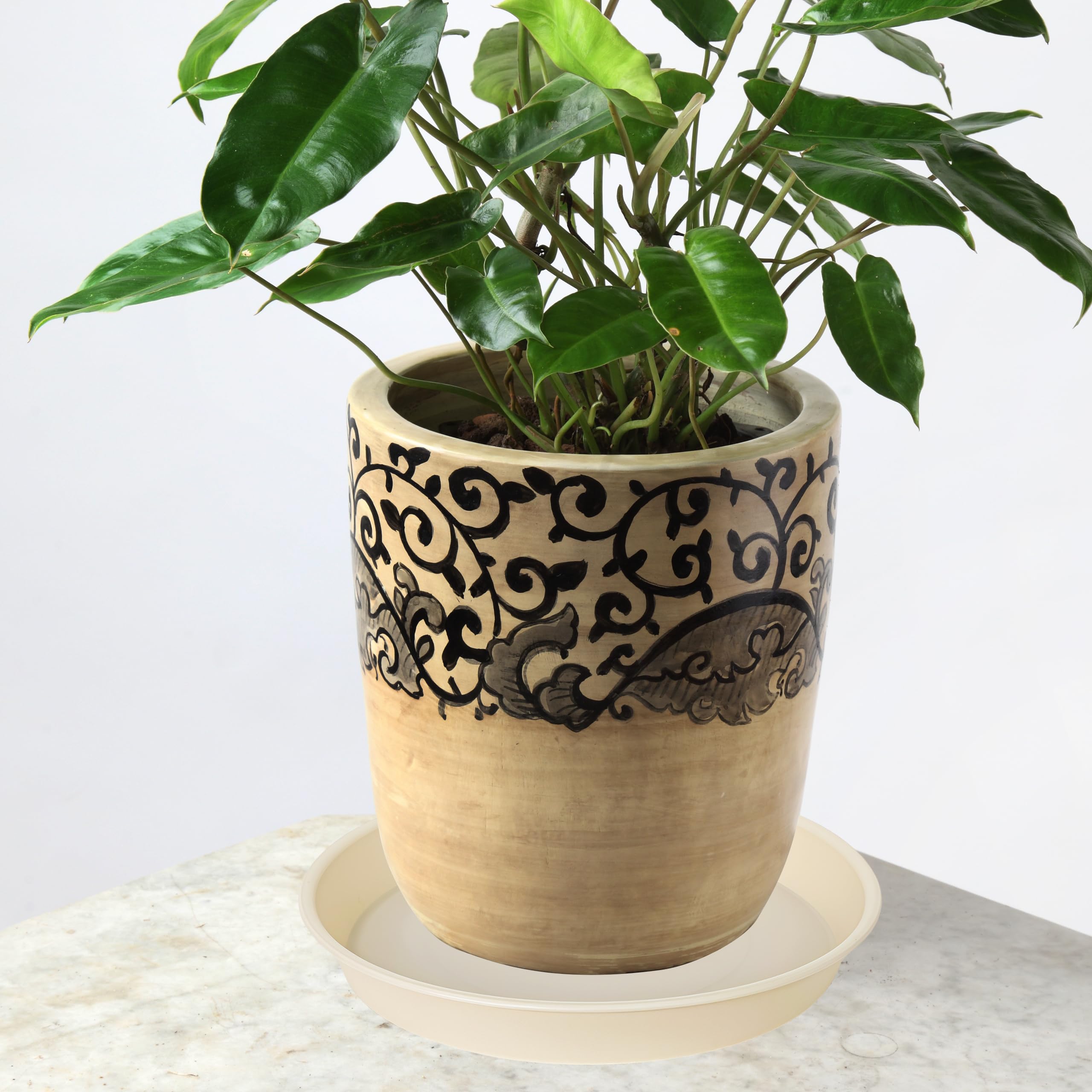 Multiple Bleuhome plant saucers in beige