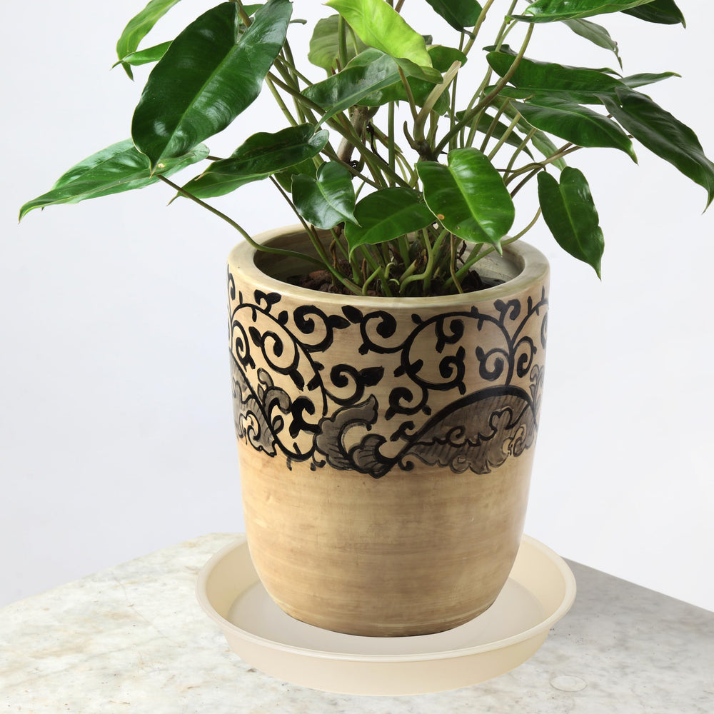 Multiple Bleuhome plant saucers in beige