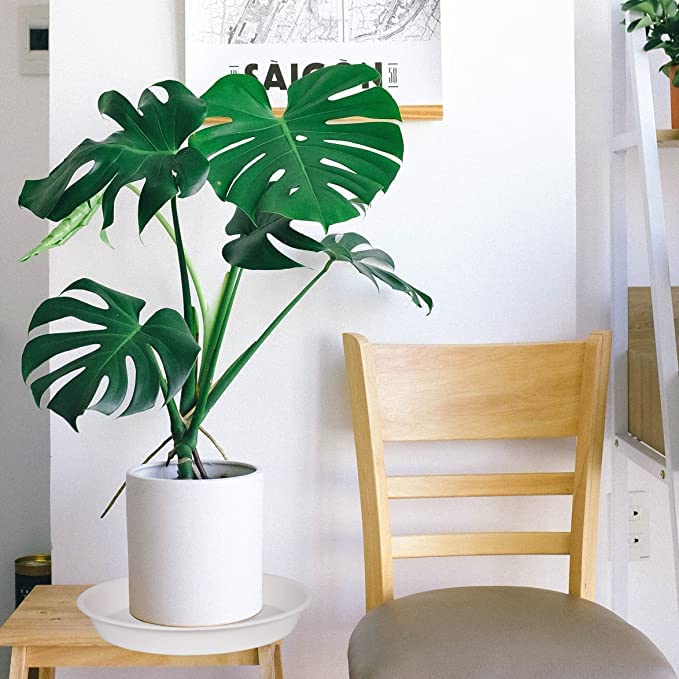 Multiple Bleuhome plant saucers showing different angles