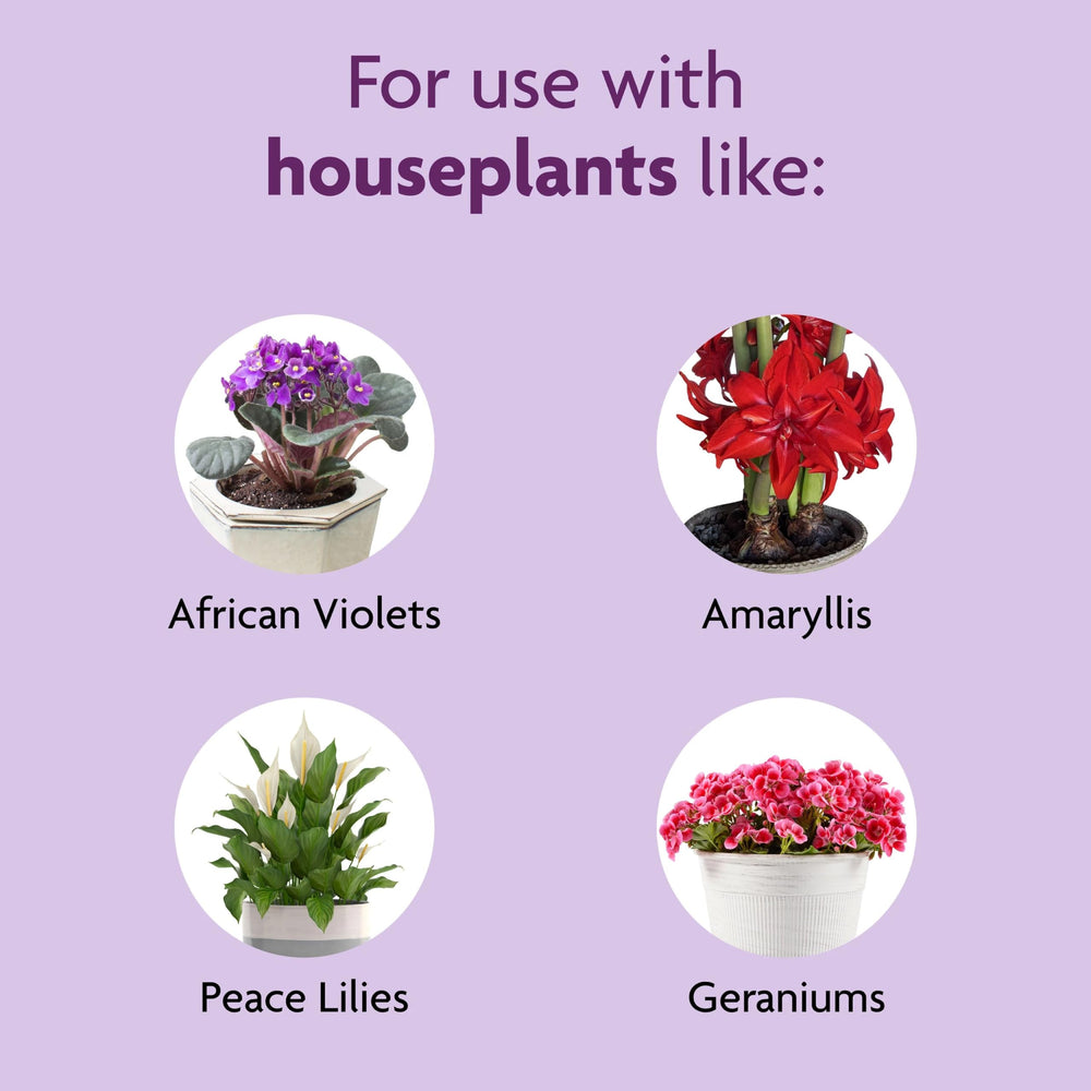 Multiple blooming indoor plants with Miracle-Gro fertilizer