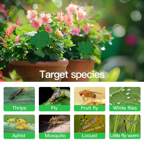 Multiple Cleanuper traps displayed in a garden