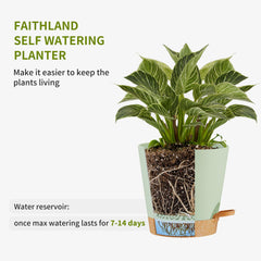 Multiple drainage holes in FaithLand planter for better air circulation