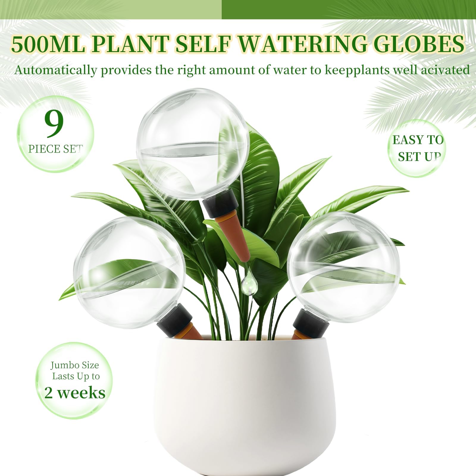 Multiple GEWOSI self watering globes in use with indoor plants