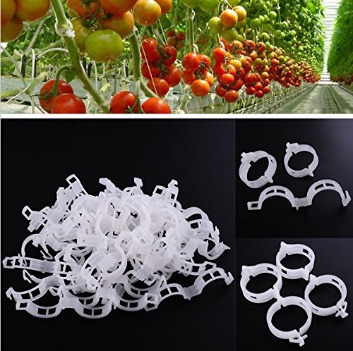 Multiple KINGLAKE Plant Support Garden Clips in use on various vegetables