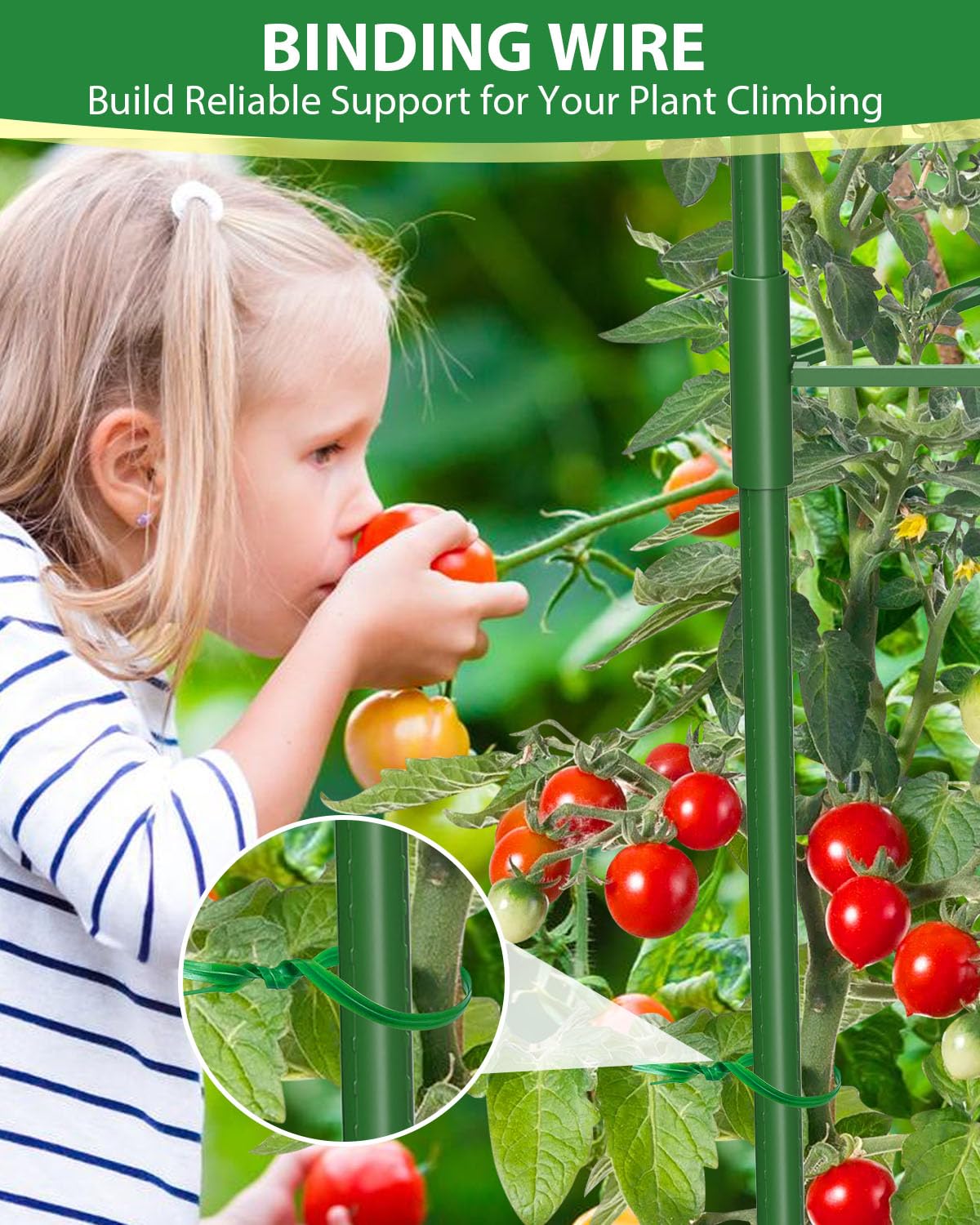 Multiple MYMULIKE tomato cages supporting climbing plants