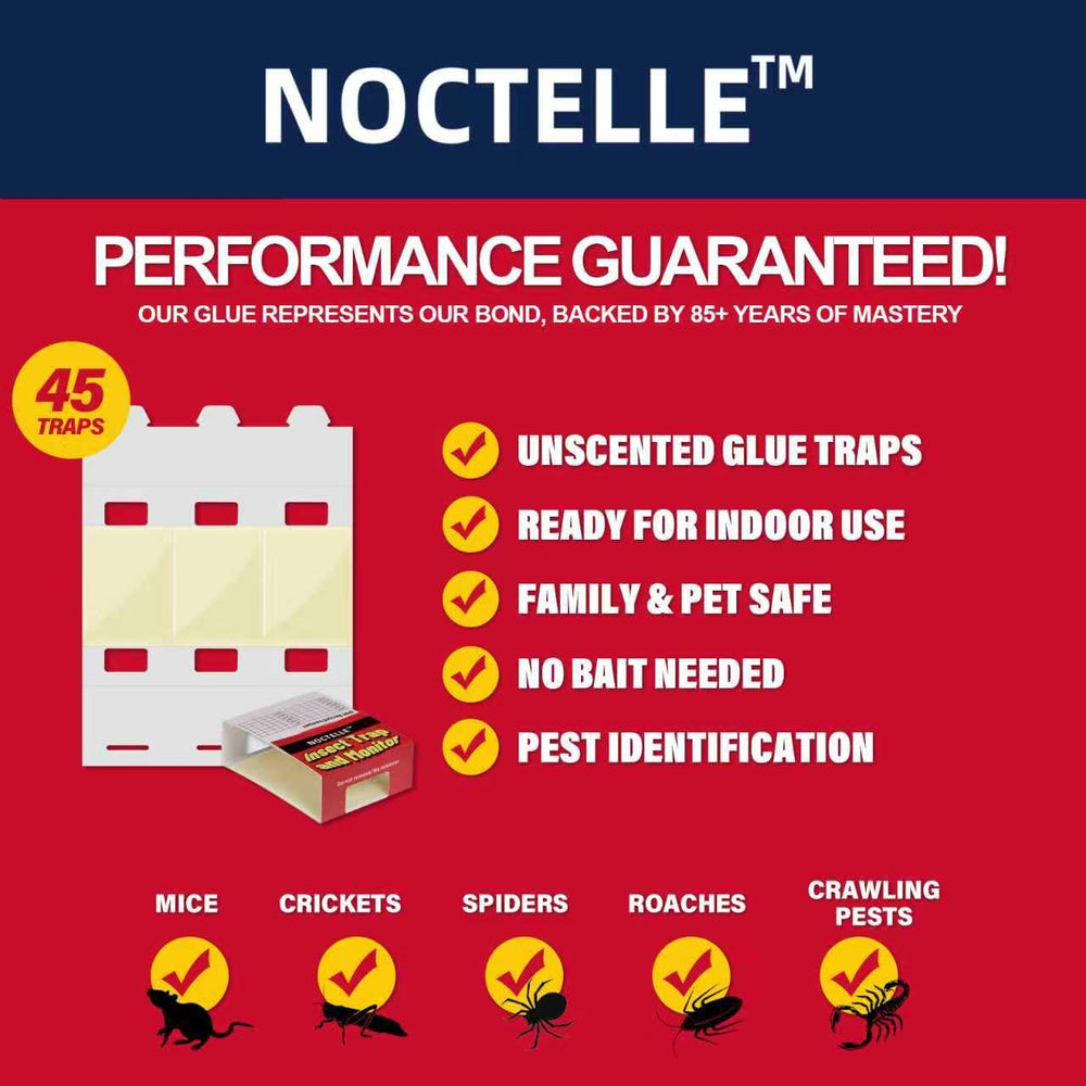 Multiple Noctelle bug traps arranged for pest monitoring