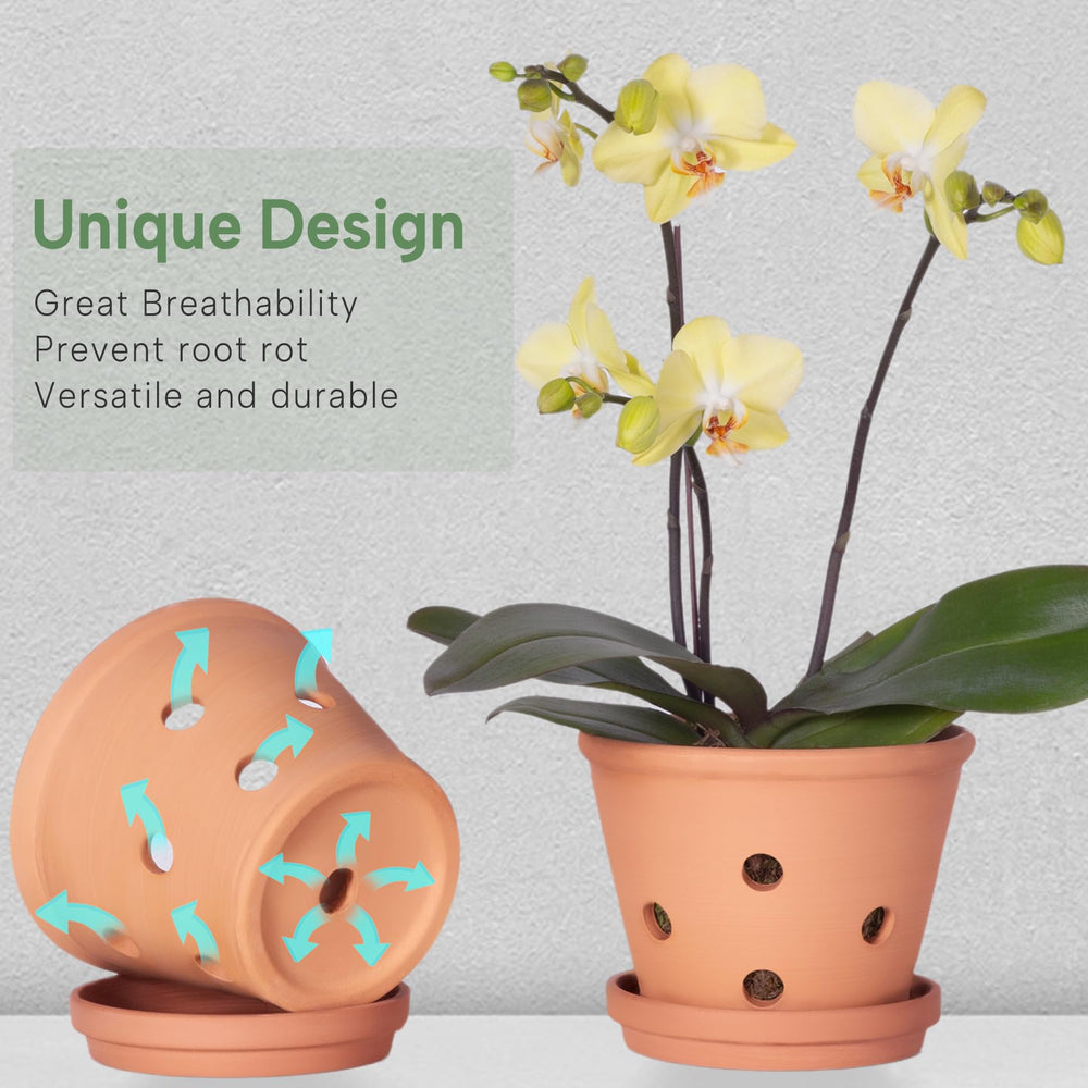 Multiple Orceler terracotta orchid pots with different plants