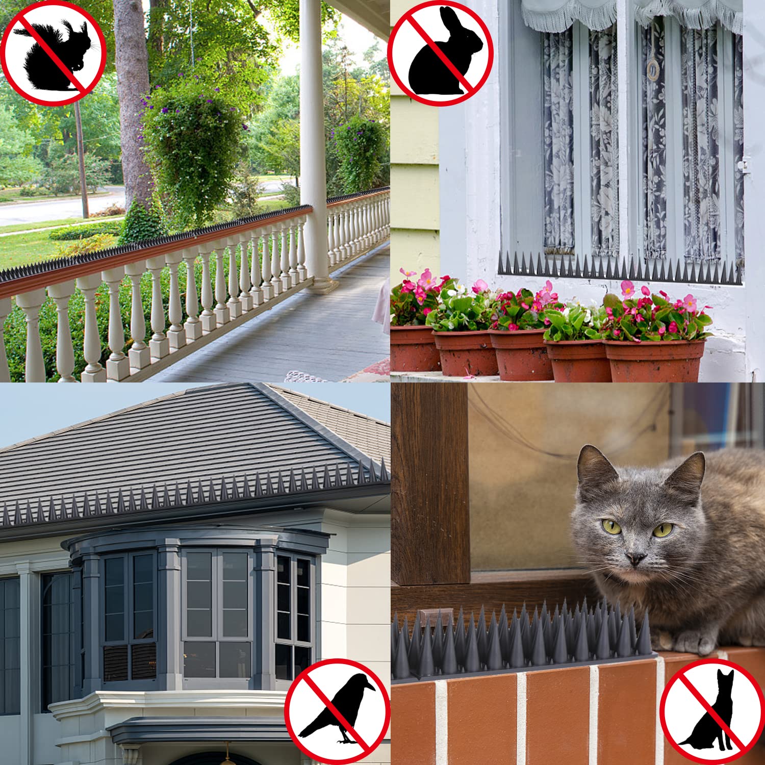 Multiple Quunoot Bird Spikes arranged for installation
