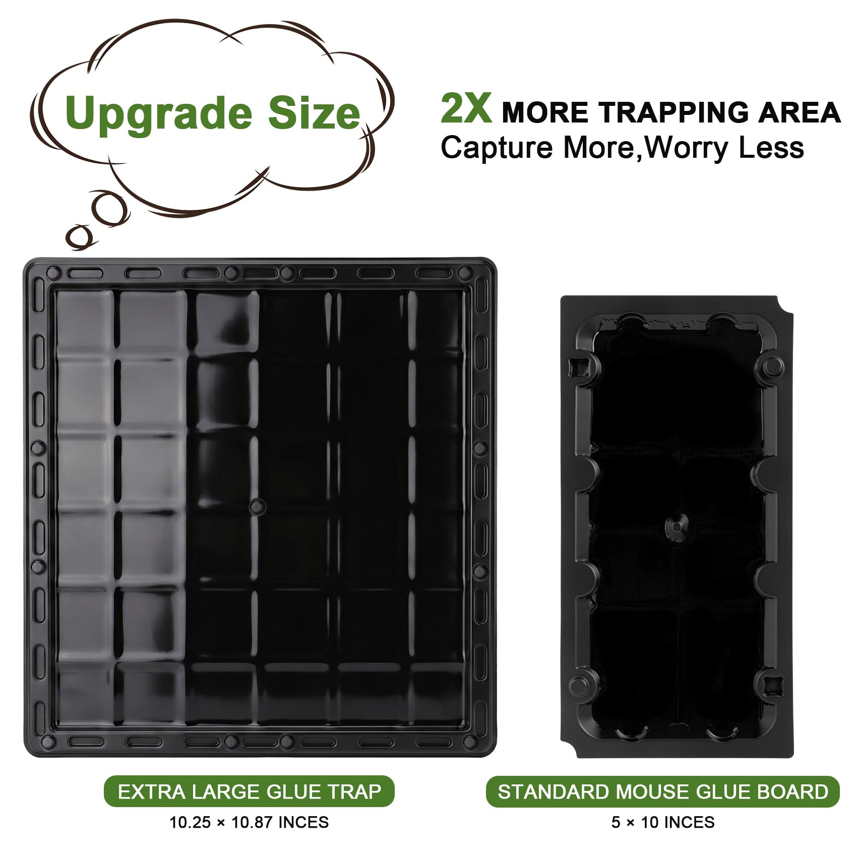 Multiple Wanqueen Glue Traps set in a storage area