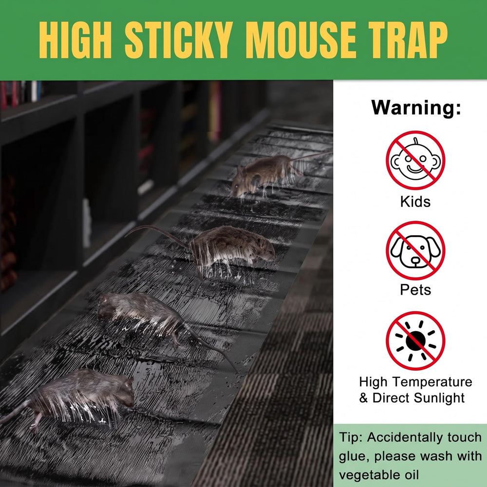 Multiple Wanqueen sticky traps set up in a room