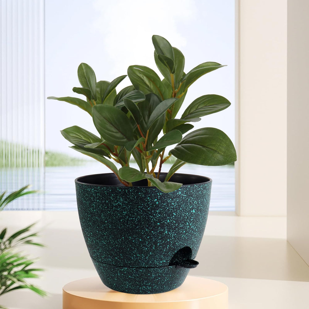 Multiple WSMKSZ self watering pots in different sizes and colours