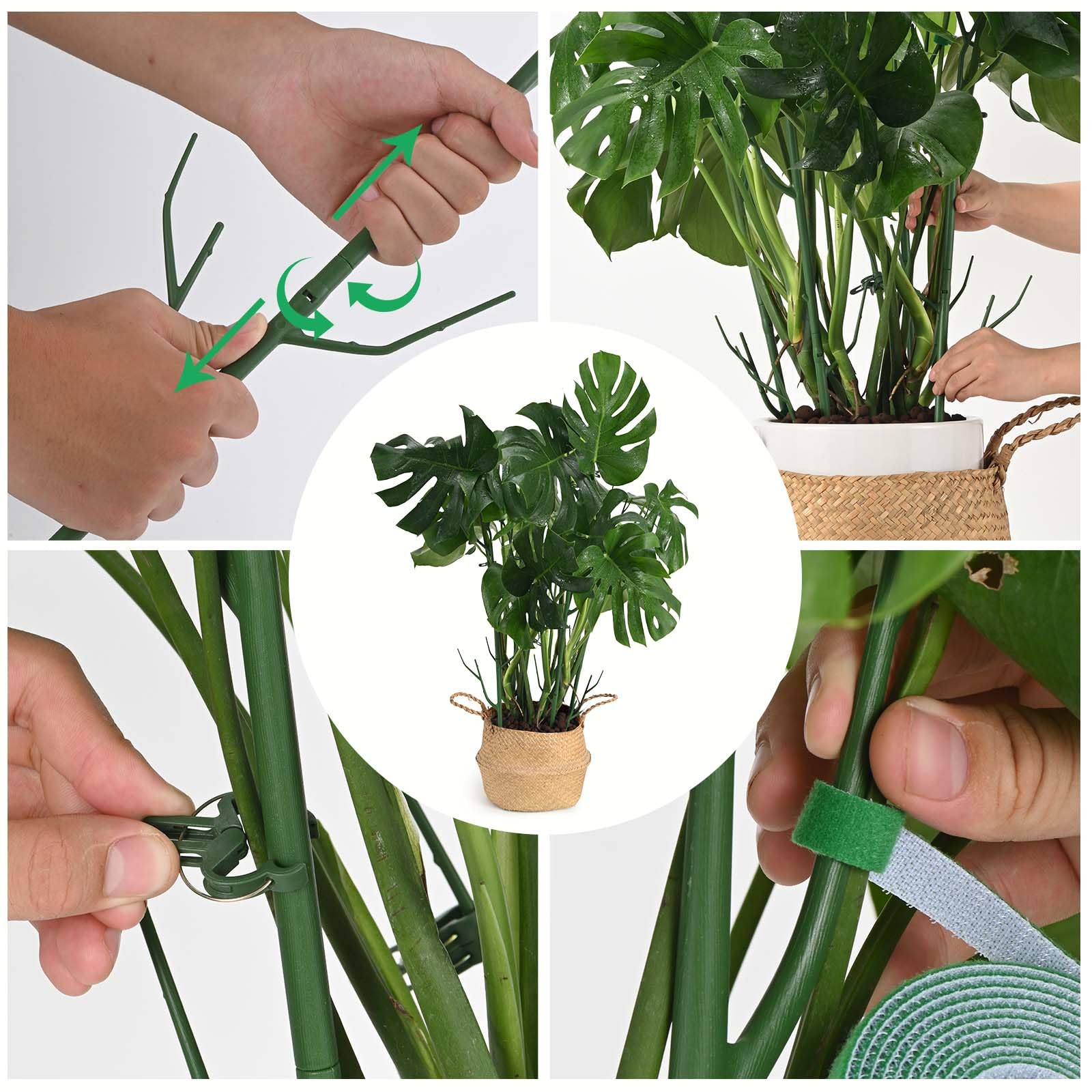 Multiple Yhtpouqe plant support stakes supporting climbing plants