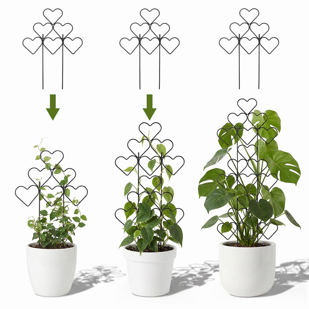 Multiple ZOUTOG trellises supporting climbing plants