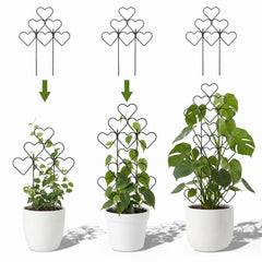 Multiple ZOUTOG trellises supporting climbing plants