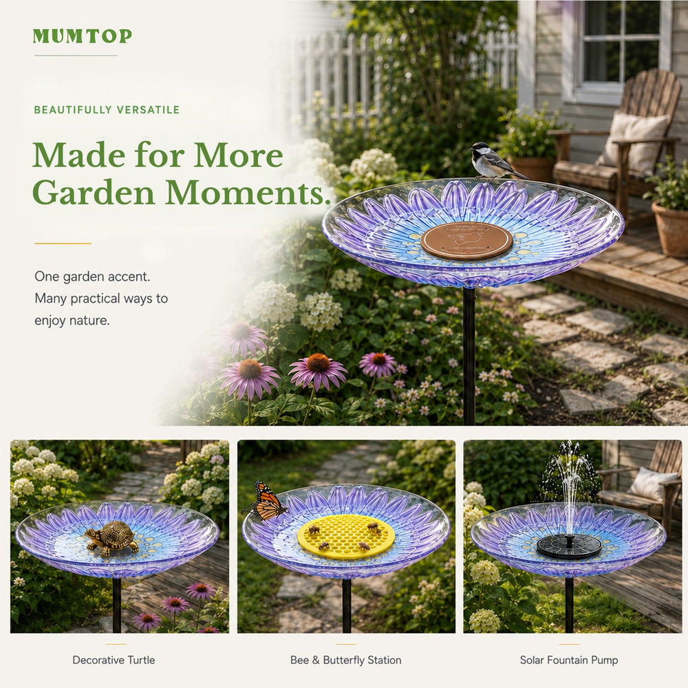MUMTOP Bird Bath close-up of smooth glass surface