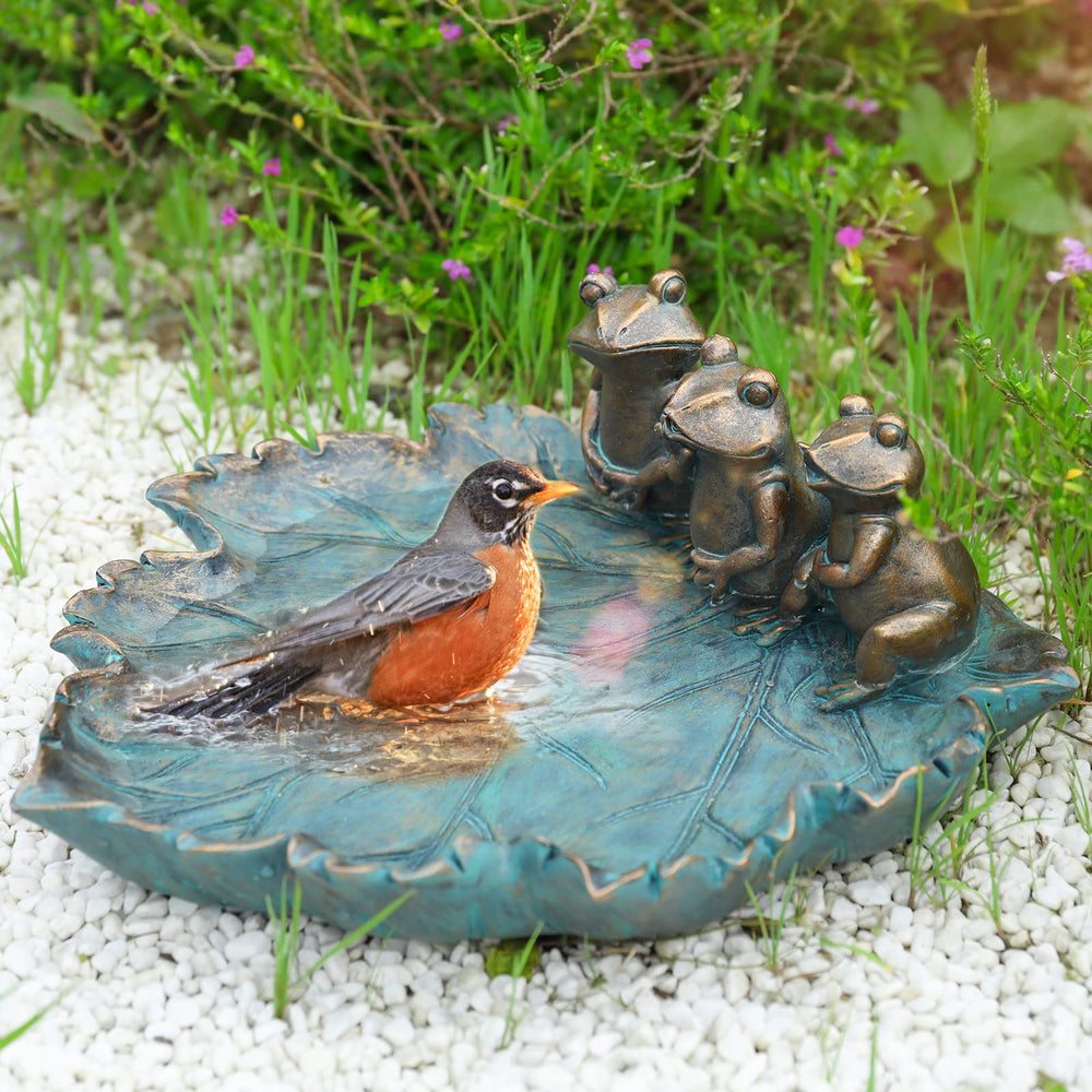 MUMTOP Bird Bath with water filled, outdoor setting