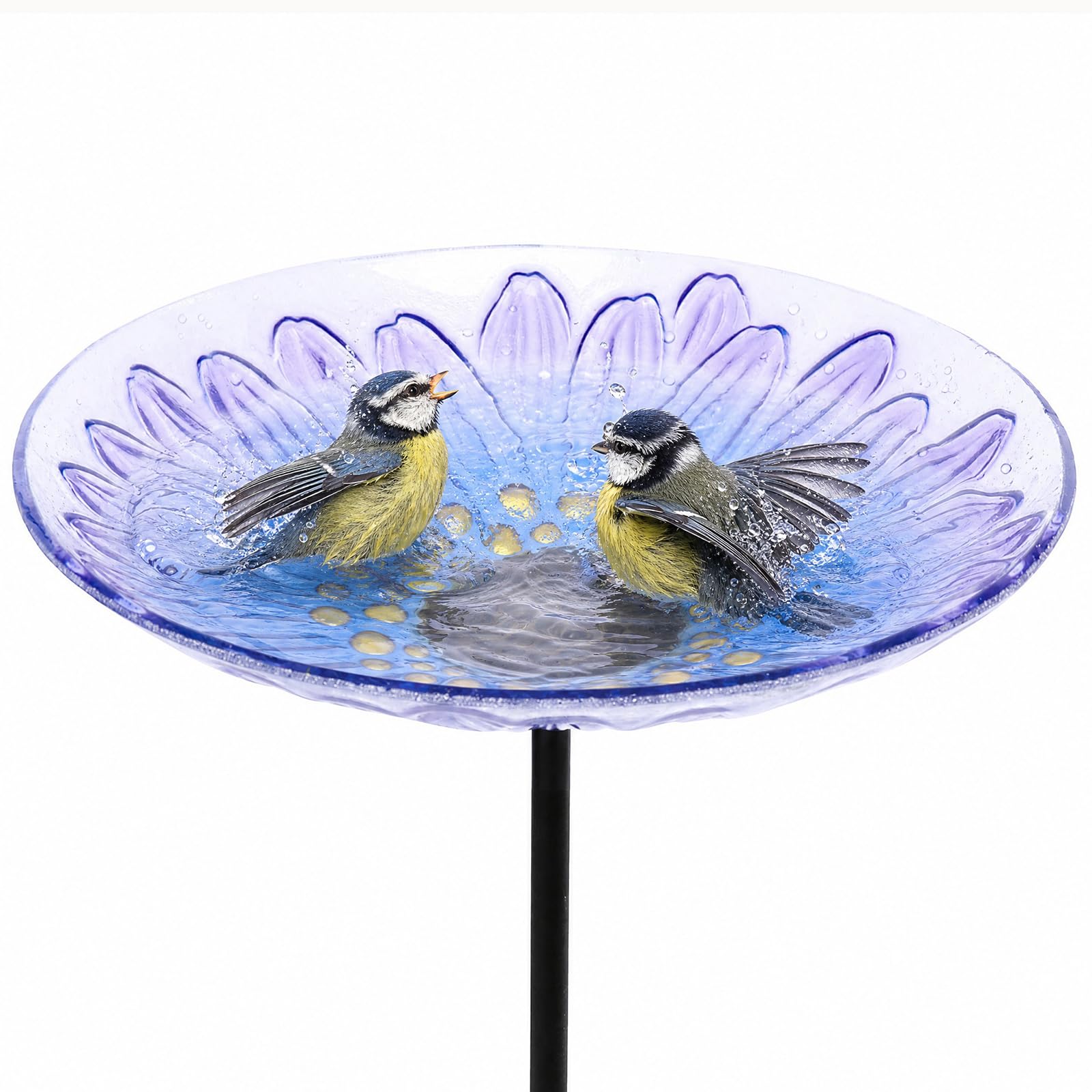 MUMTOP Purple Daisy Flower Bird Bath front view