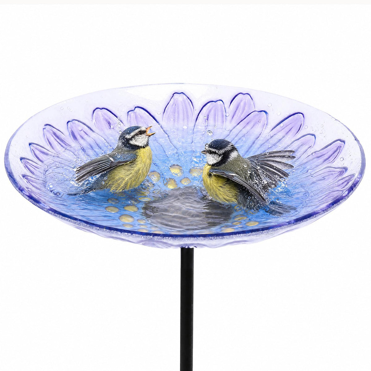 MUMTOP Purple Daisy Flower Bird Bath front view