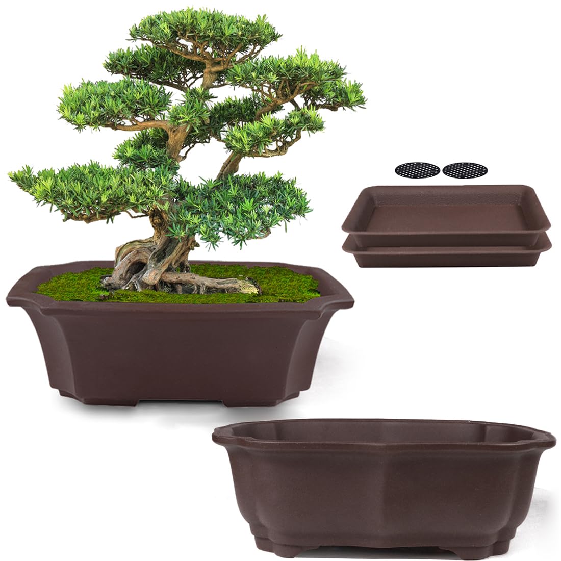 MUZHI 8 inch unglazed ceramic bonsai pot with a drip tray