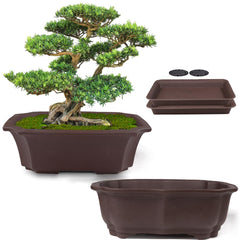 MUZHI 8 inch unglazed ceramic bonsai pot with a drip tray