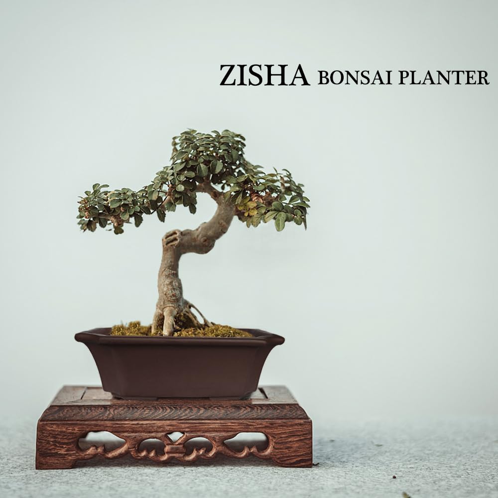 MUZHI bonsai pot showcasing handmade craftsmanship