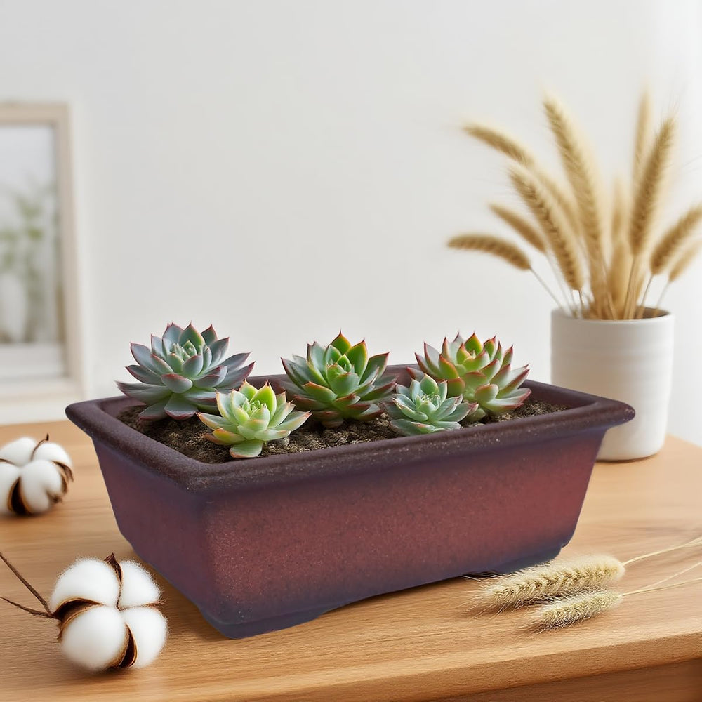 MUZHI planter displayed on a balcony with plants