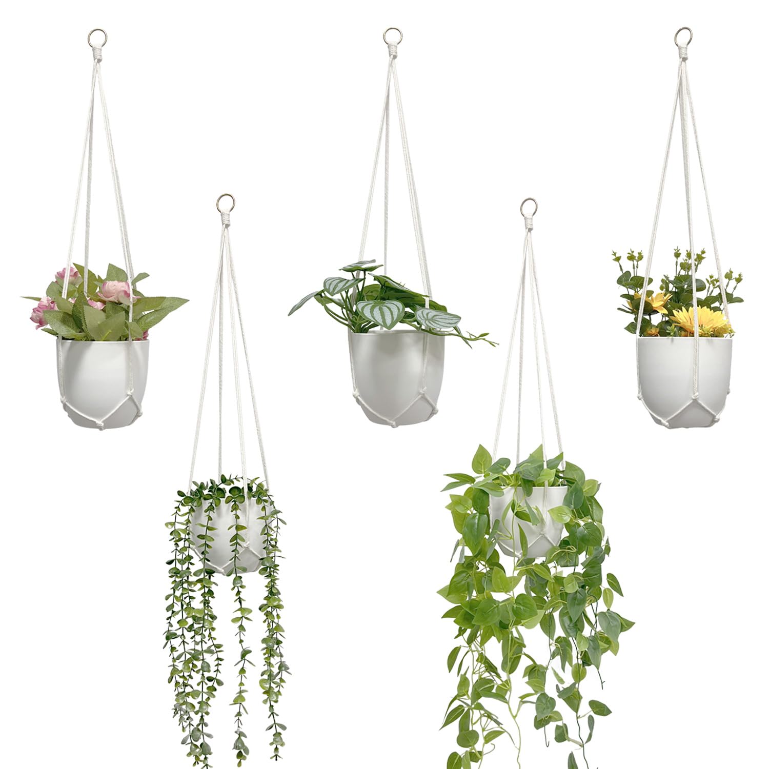 MVOVM Macrame Plant Hanger 5 Pack displayed with hanging plants