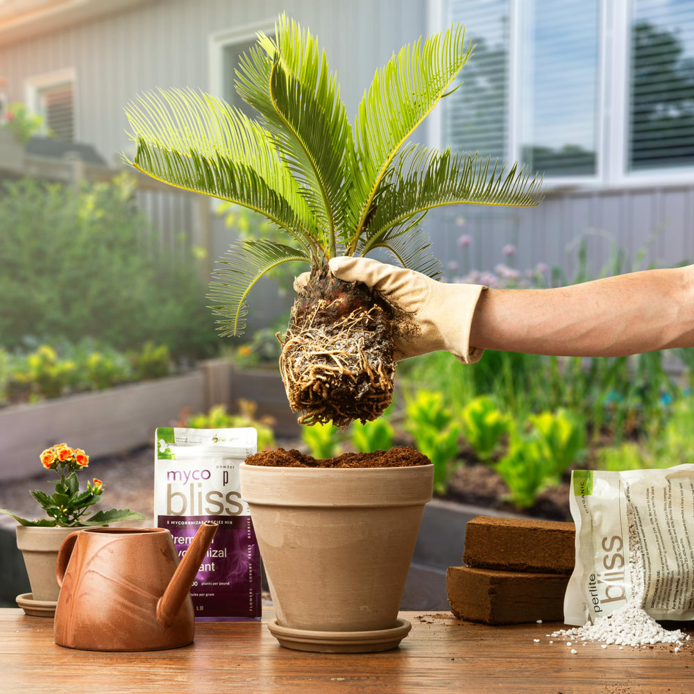 Myco Bliss Powder being mixed into potting soil