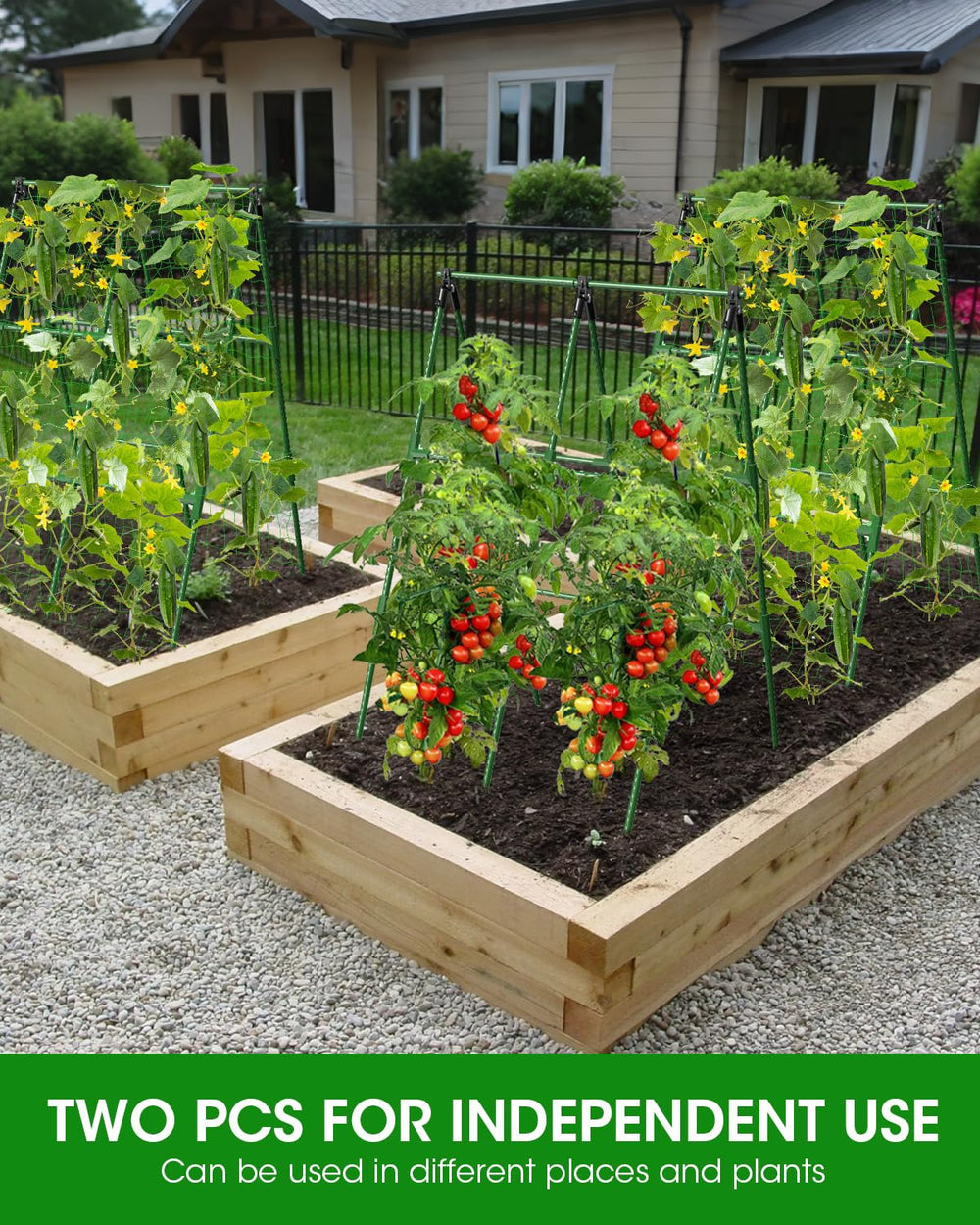 MYMULIKE Cucumber Trellis details showing its sturdy frame