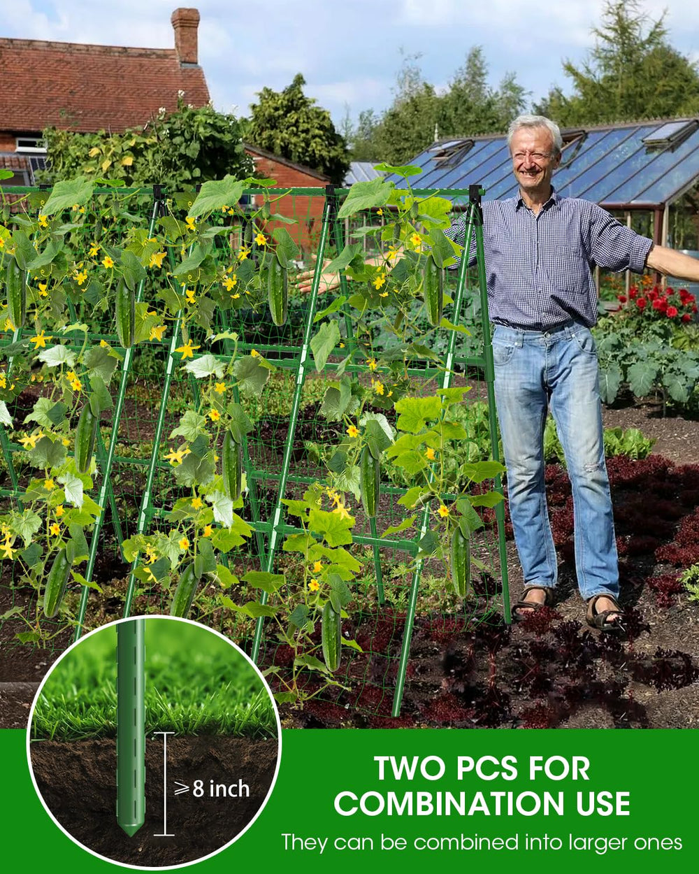 MYMULIKE Cucumber Trellis set layout with four trellises
